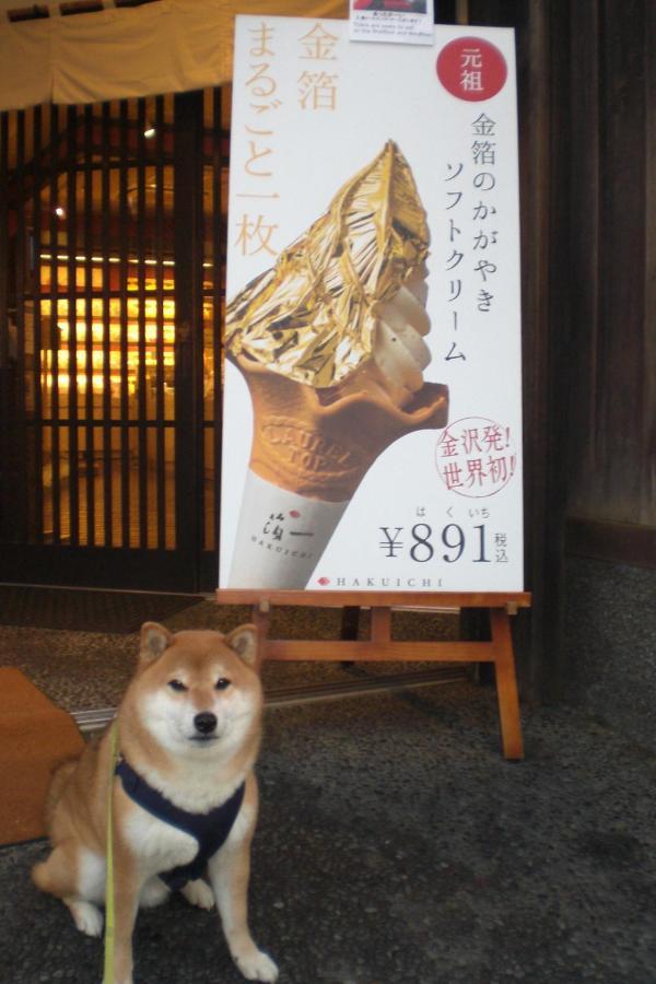 Kanazawa Share House Gaooo Esterno foto