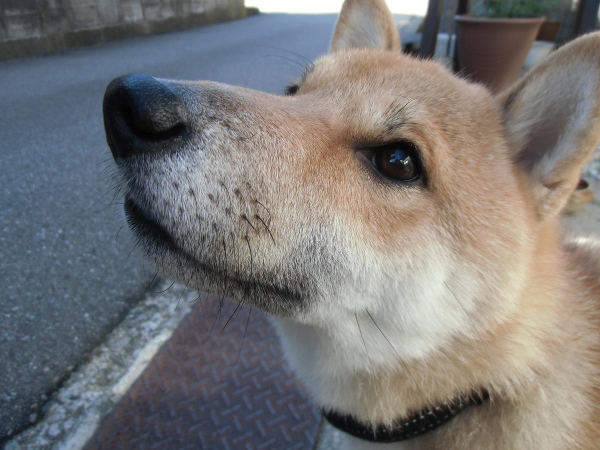 Kanazawa Share House Gaooo Esterno foto