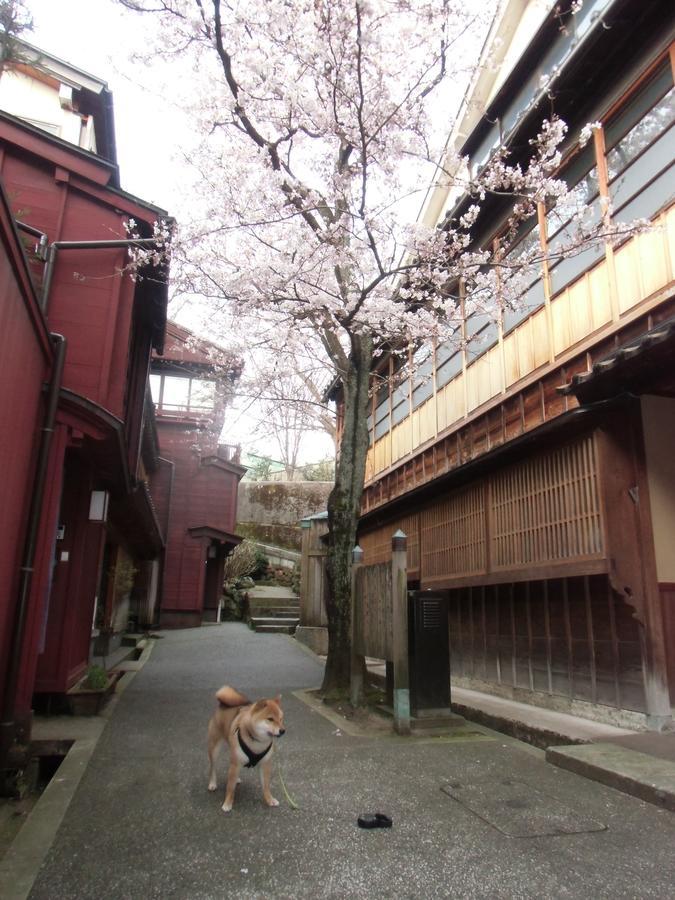 Kanazawa Share House Gaooo Esterno foto