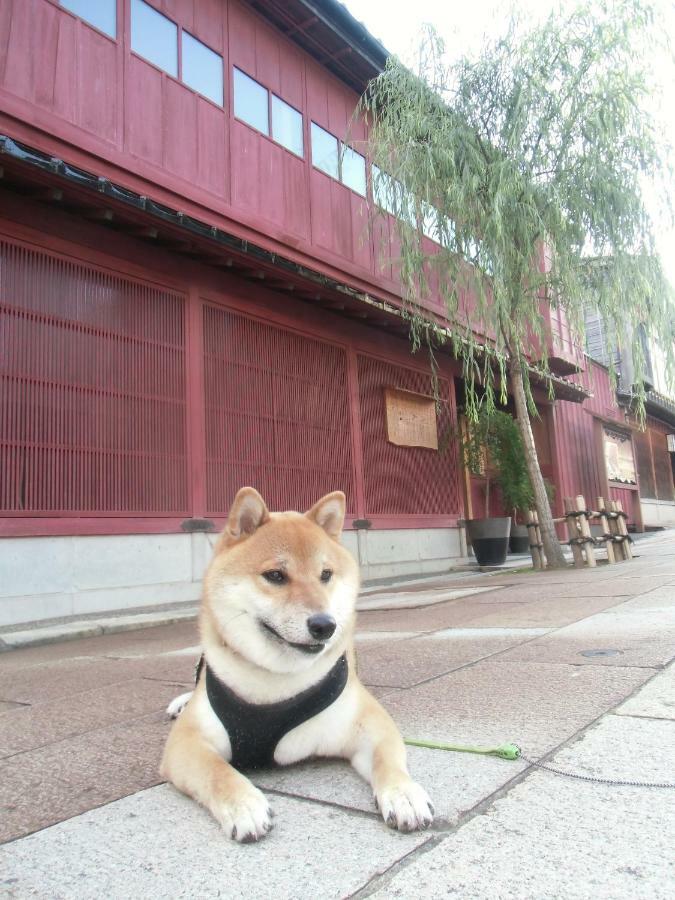 Kanazawa Share House Gaooo Esterno foto